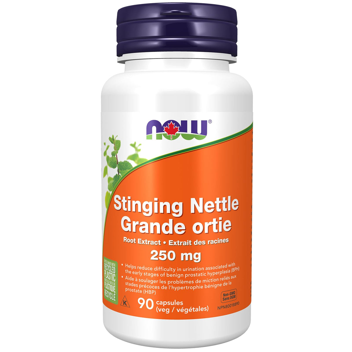 NOW Supplements, Stinging Nettle Root Extract (Urtica dioica) 250 mg, Supports Prostate Health*, 90 Veg Capsules