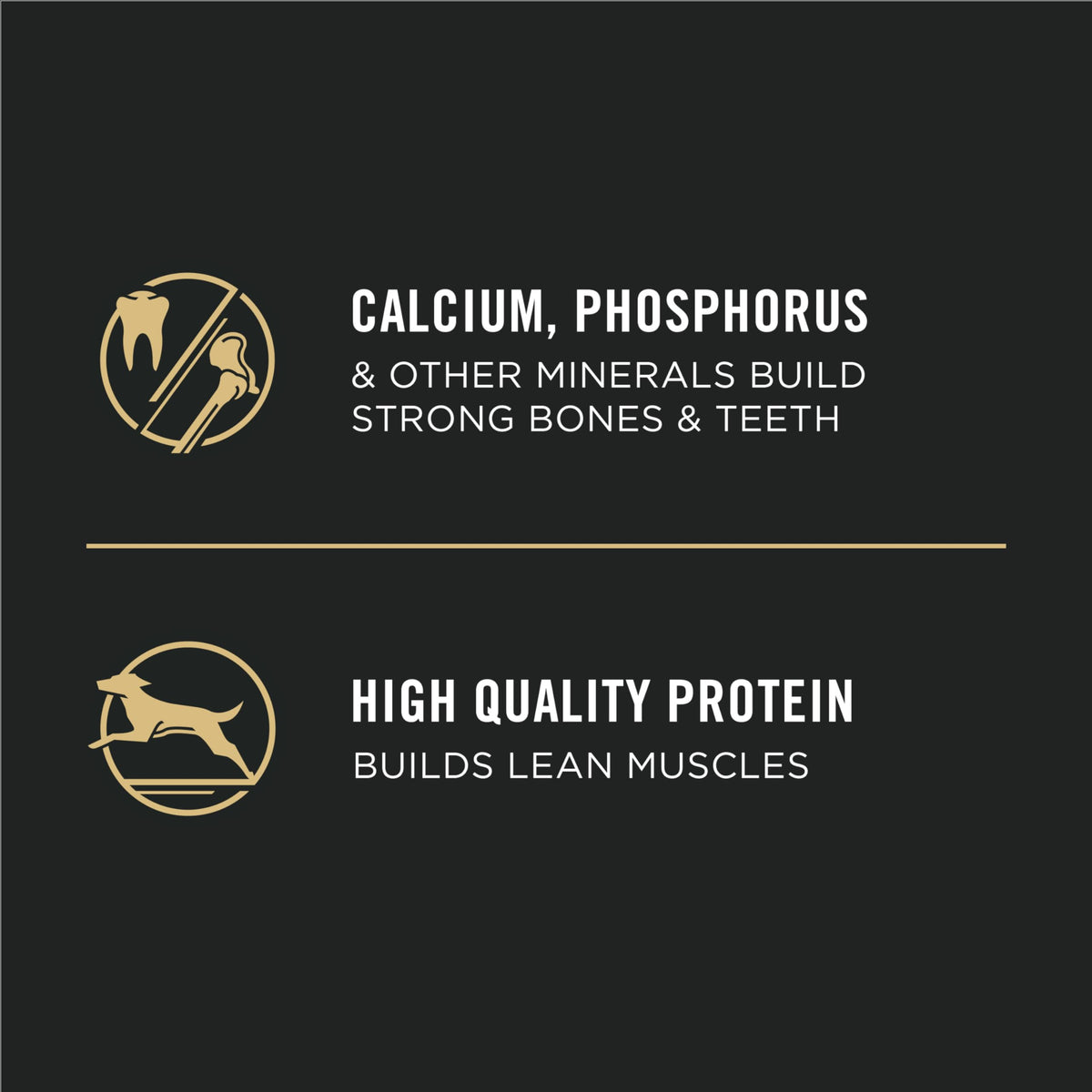 Purina Pro Plan Dry Puppy Food, Development Shredded Blend Chicken & Rice - 2.72 kg Bag (1 Pack)