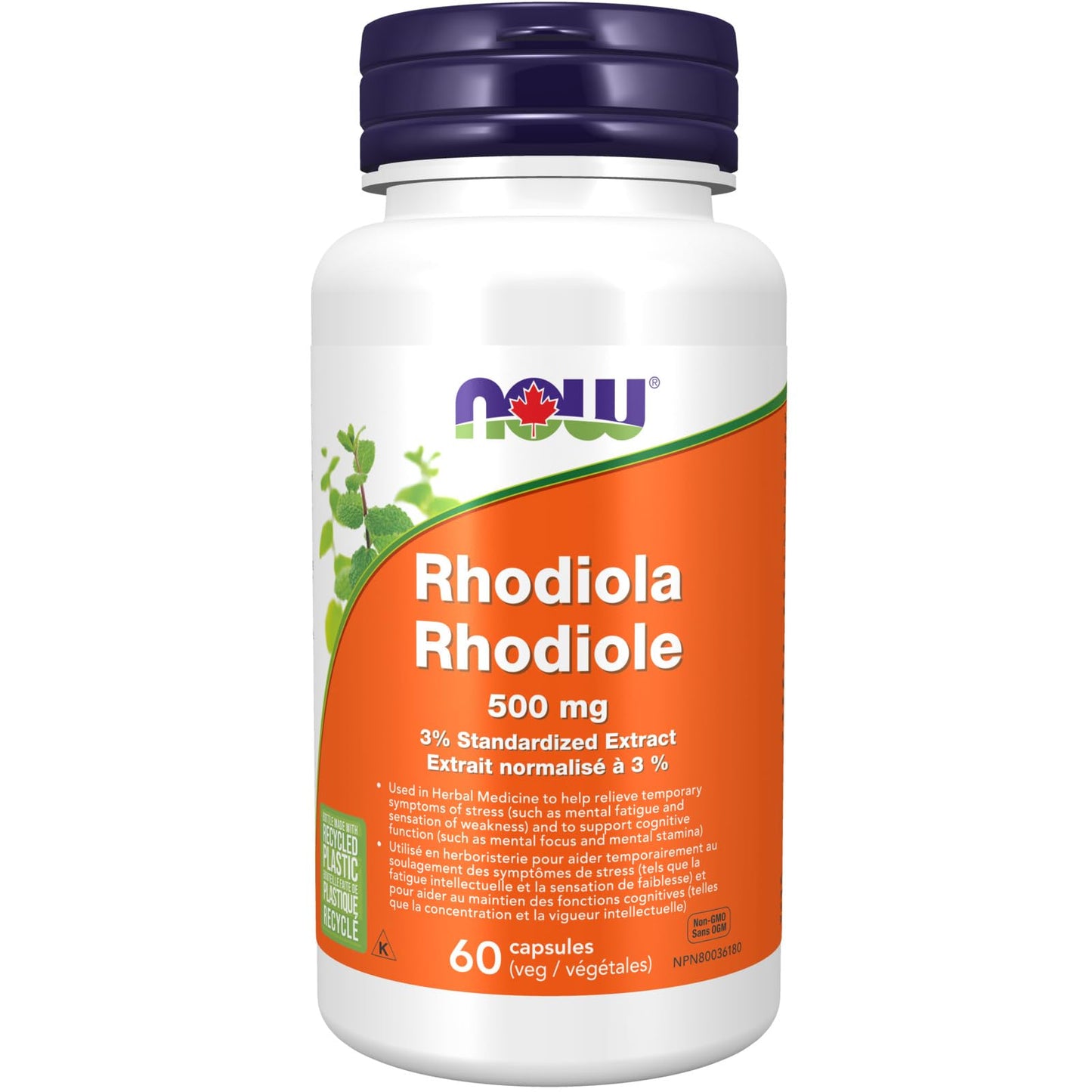 NOW Supplements, Rhodiola 500 mg, Helps Body Adapt to Stress of Daily Life*, Adaptogenic Herb*, 60 Veg Capsules - Available at All In One Marketplace Canada