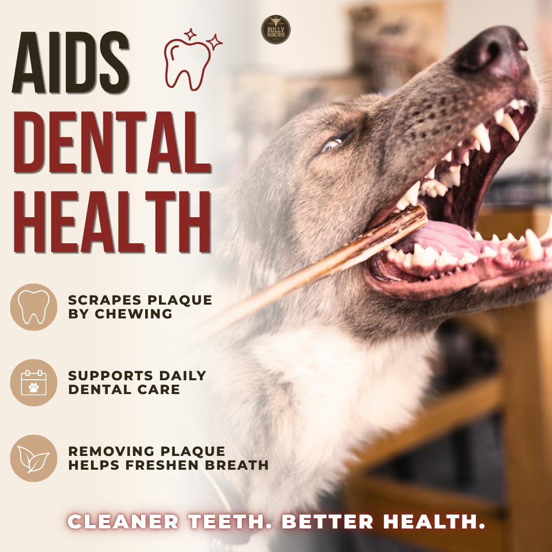 Bully Bunches Premium (6" Standard - 20 Pack) Odour-Free, Consistently Sized Bully Sticks for Medium Dogs - Long Lasting Oral Care Chews - All Natural Fully Digestible Beef Treat, No Rawhide