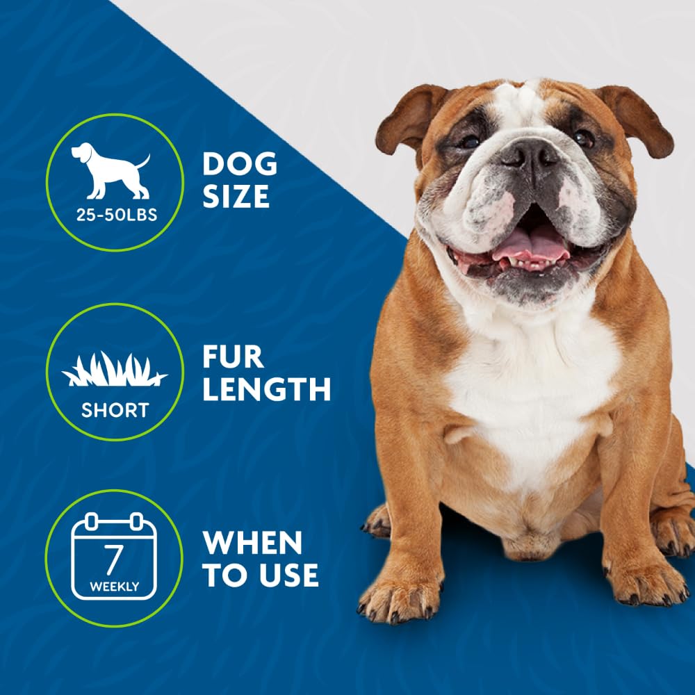 FURminator® Undercoat deShedding Tool For Medium Dogs, Short Hair, Removes Loose Hair From Shedding - Available at All In One Marketplace Canada