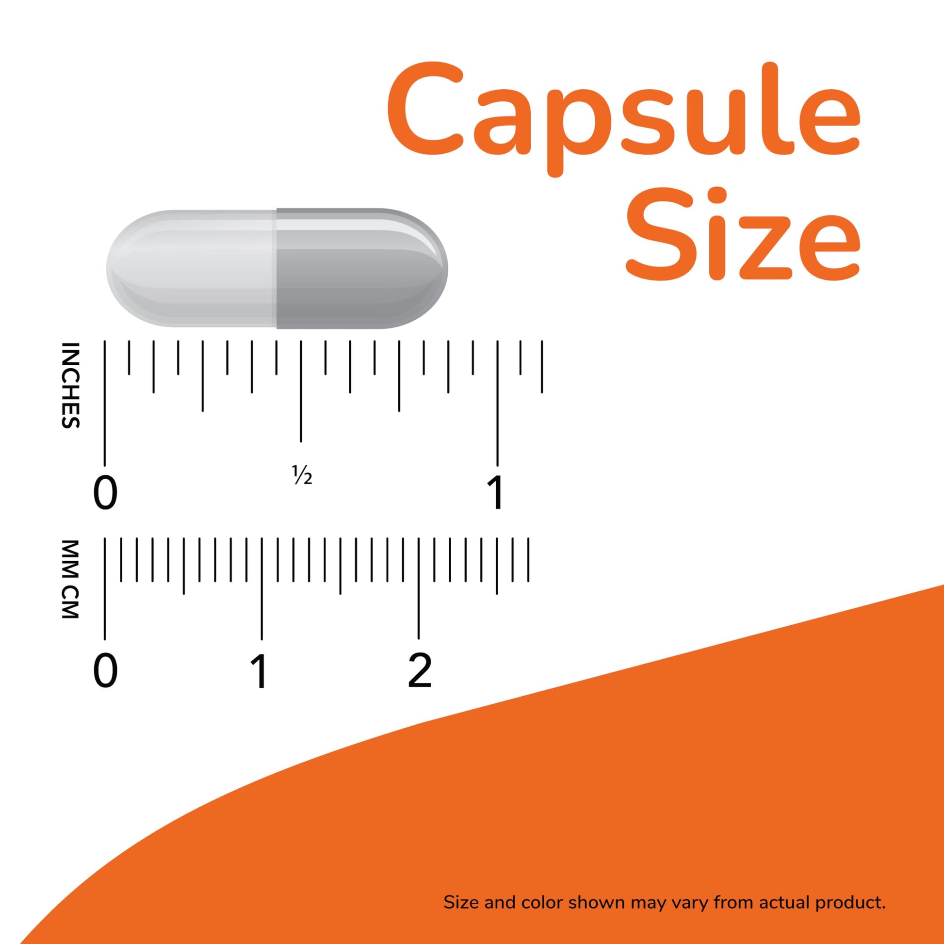 NOW Supplements, Acetyl-L Carnitine 500 mg, Amino Acid, Brain And Nerve Cell Function, 100 Veg Capsules NOW