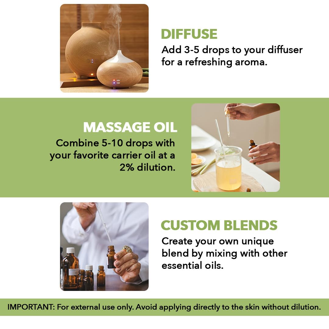 Majestic Pure Peppermint Essential Oil for Diffuser - 4 Fl Oz (Pack of 2) 🍁 All In One Marketplace Canada