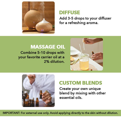 Majestic Pure Peppermint Essential Oil for Diffuser - 4 Fl Oz (Pack of 2) 🍁 All In One Marketplace Canada