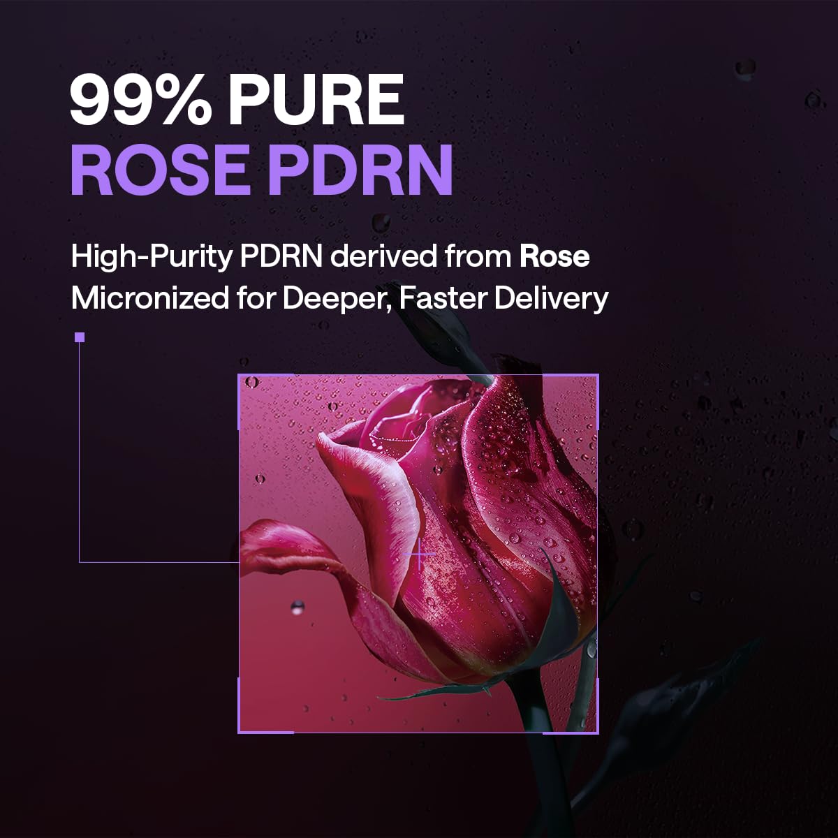 MEDIHEAL PDRN Lifting Toner Pads – Pore Tightening with Plant-Based PDRN, Peptide, Glutathione & PHA, Pore Care, Firming & Wrinkle Care, Stretchy Lifting Fabric, Korean Skin Care, 100 Pads