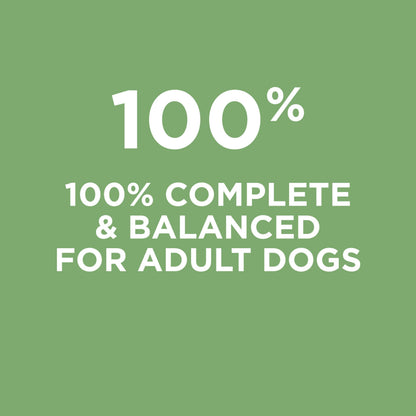Dog Chow Dry Dog Food, Natural Farm-Raised Chicken - 19.3 kg Bag - Available at All In One Marketplace Canada