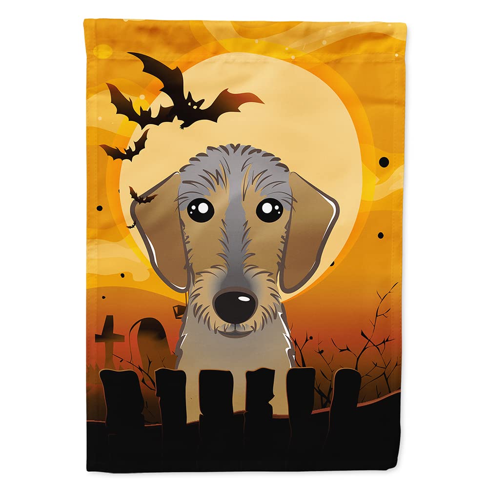Drapeau de maison Caroline's Treasures BB1791CHF, motif Teckel à poil dur pour Halloween, toile, multicolore, grand format
