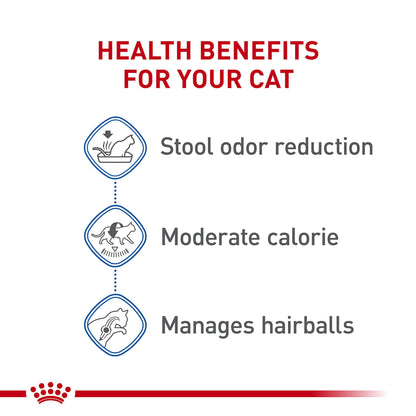 Royal Canin Indoor Adult Dry Cat Food, 15 lb bag 🍁 All In One Marketplace Canada