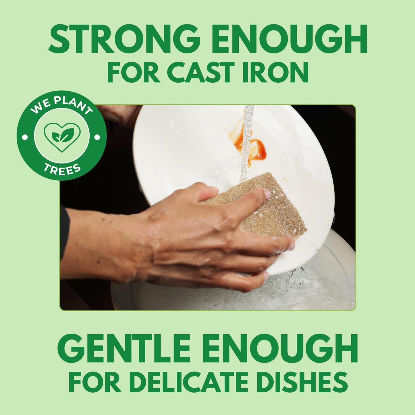 AIRNEX 10 Pack Biodegradable Natural Kitchen Sponges - Eco Friendly Cellulose and Coconut Dish Scrubbers - Odourless, Non Scratch, Dual Sided Multipurpose Sponges - Available at All In One Marketplace Canada