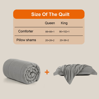 All Season Queen Comforter Set 3 PCs Soft Quilted Down Alternative Comforter+2 Pillow Shams with Corner Tabs,Winter Summer Warm Fluffy,Machine Washable (Light Grey, Queen 🍁 All In One Marketplace Canada