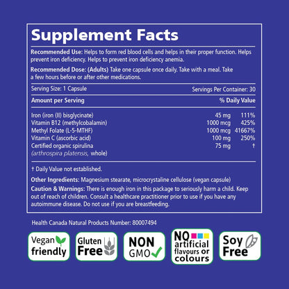VITALITY Power Iron Supplement 45 mg – Gentle Iron, Vitamin C, B12 & Folate VITALITY