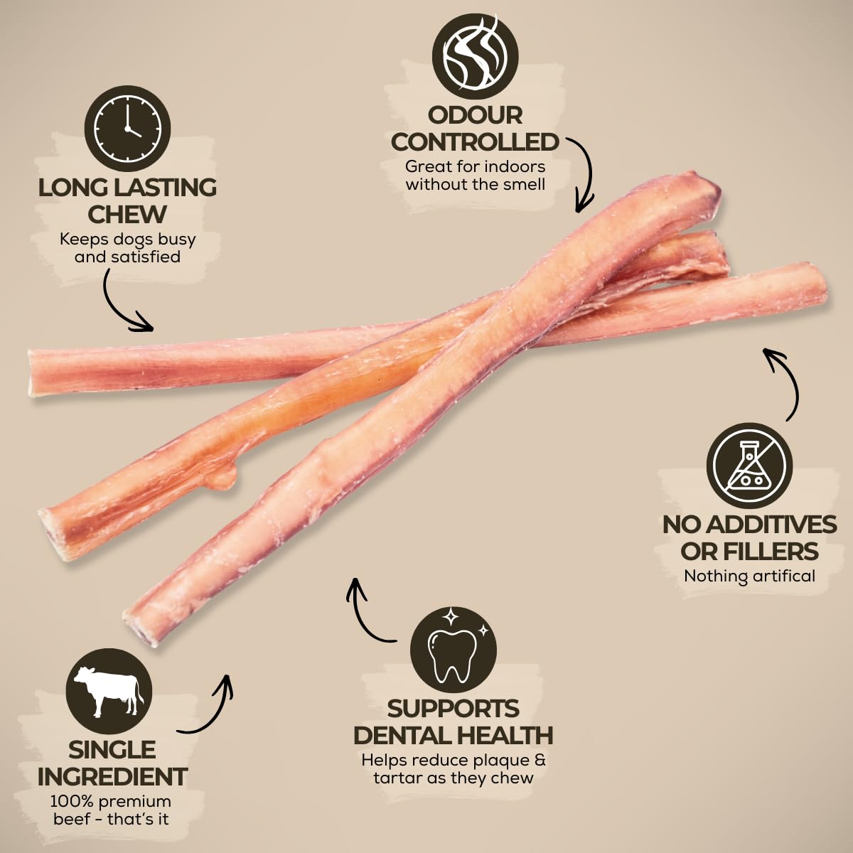 Bully Bunches Premium (12" Standard - 5 Pack) Odour-Free, Consistently Sized Bully Sticks for Medium Dogs - Long Lasting Oral Care Chews - All Natural Single Ingredient, Beef Dog Treat, No Rawhide