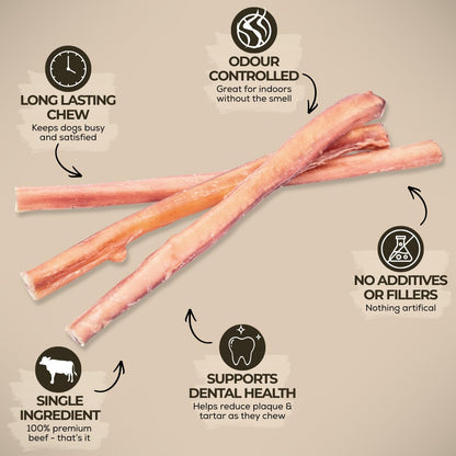 Bully Bunches Premium (12" Standard - 5 Pack) Odour-Free, Consistently Sized Bully Sticks for Medium Dogs - Long Lasting Oral Care Chews - All Natural Single Ingredient, Beef Dog Treat, No Rawhide