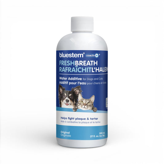 bluestem Dental Care Water Additive for Dogs & Cats – No Brushing Daily Teeth Cleaner – Pet Oral Rinse to Freshen Breath & Help Reduce Plaque – Flavorful & Easy Oral Hygiene (500 ml, Original)