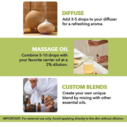 Majestic Pure Lemongrass Essential Oil - Huge 118 ml - 100% Pure and Natural Oil for Soap Making Scent- Premium Grade with Glass Dropper