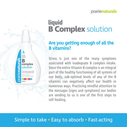 Prairie Naturals Liquid B Complex Solution 500 ml - Stress Relief & Energy Support