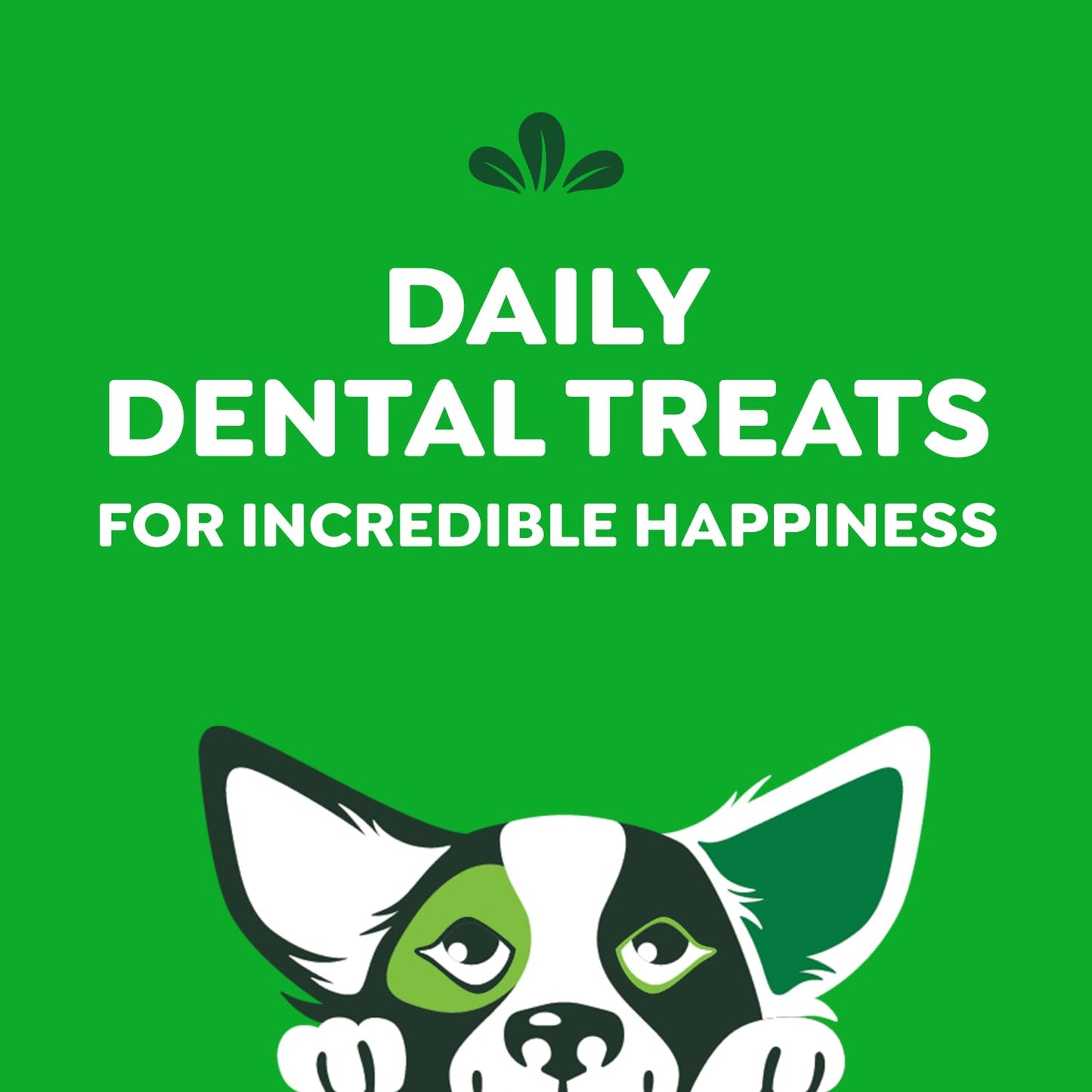GREENIES Dog Treats Original Petite Natural Dental Care, (60 Treats) 36oz. Pack