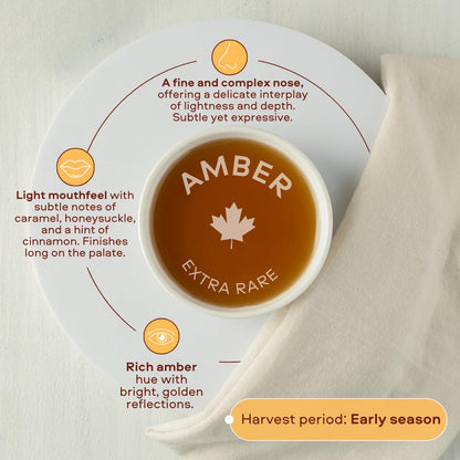 Escuminac Single Forest Maple Syrup – 500ml | Grade A Amber, Certified Organic, Pure Canadian