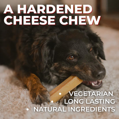 Bully Bunches Large Authentic Yak Cheese Himalayan Chews for Large Dogs & Heavy Chewers - All Natural Dog Treat Dental Chews, Made with Real Yak Milk - Lactose & Rawhide Free (2 Pk)