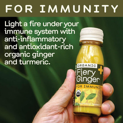 Greenhouse Juice Fiery Ginger Wellness Shot 12-Pack 60ml Glass Bottles | Organic, Vegan, Gluten-Free, Immune Support & Anti-Inflammatory