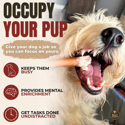 Bully Bunches Premium (6" Standard - 10 Pack) Odour-Free Bully Sticks - Small Dogs & Puppies - Consistently Sized, Long Lasting Chew Bones - All Natural & Single Ingredient, Beef Dog Treat, No Rawhide