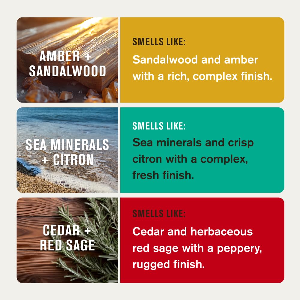 Every Man Jack Men's Deodorant Variety Set - Three Full-Sized Deodorant Sticks with Clean Ingredients & Incredible Scents - Cedar + Red Sage, Amber + Sandalwood, Sea Mineral + Citron - 85g (3 Pack) - Available at All In One Marketplace Canada