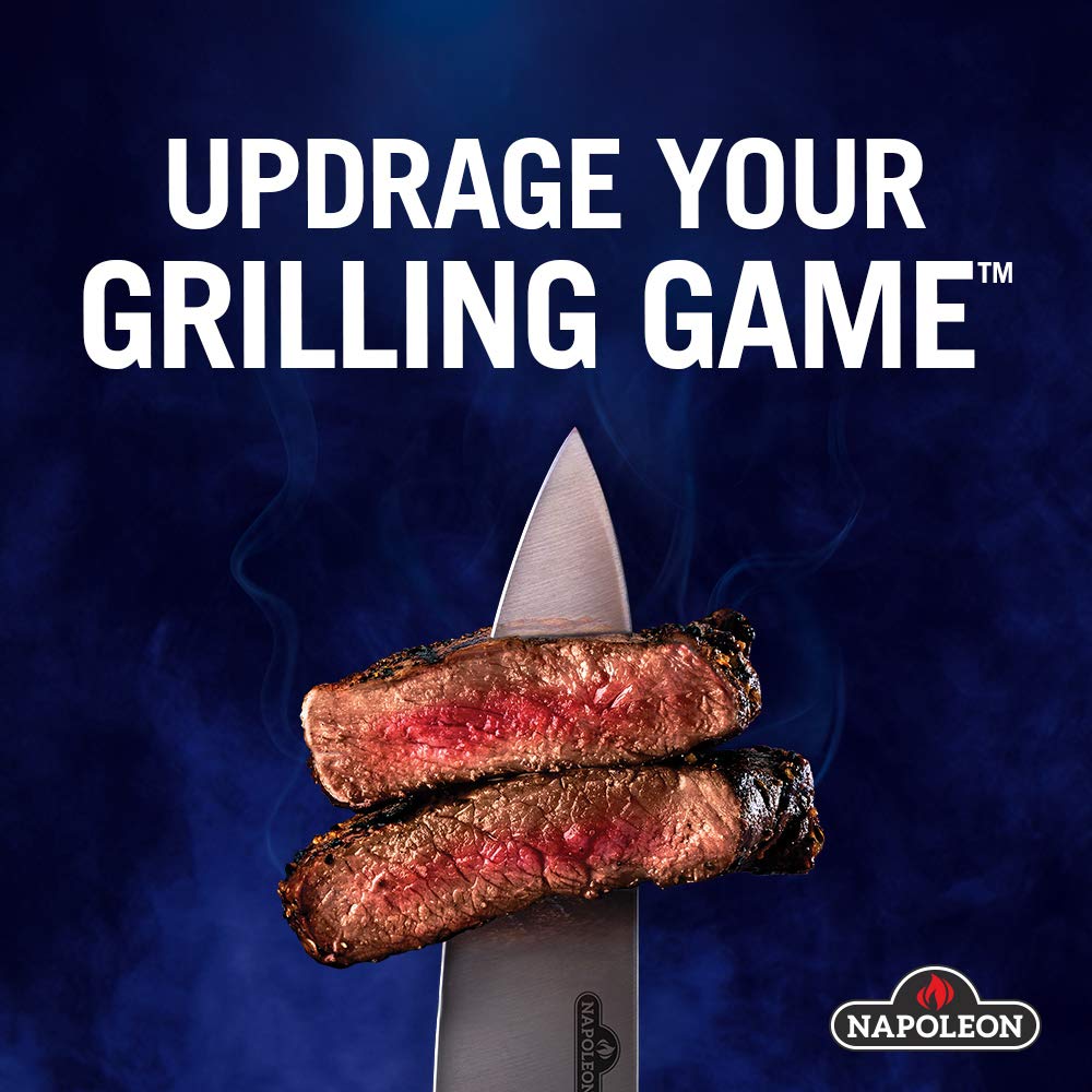 Napoleon Grill Light with Four high-powered LED lights 70049 Napoleon