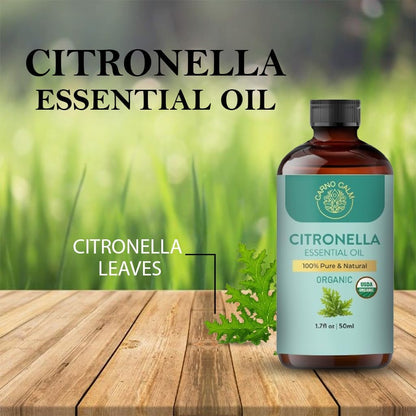 Carno Calm Organic Citronella Essential Oil | 100% Pure Natural Citronella Oil | For Scalp and Hair | Ideal for Both men and women | 1.7 fl oz