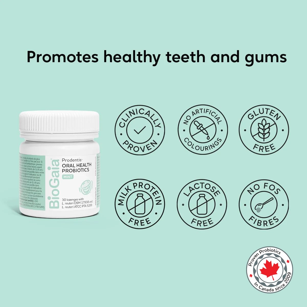 Prodentis Mint | Dental Oral Probiotic Lozenges | for Adults | Clinically Proven Dental Probiotics | Promotes Good Oral Health & Gut Health Too | 30 Mint-Flavored Lozenges - Available at All In One Marketplace Canada