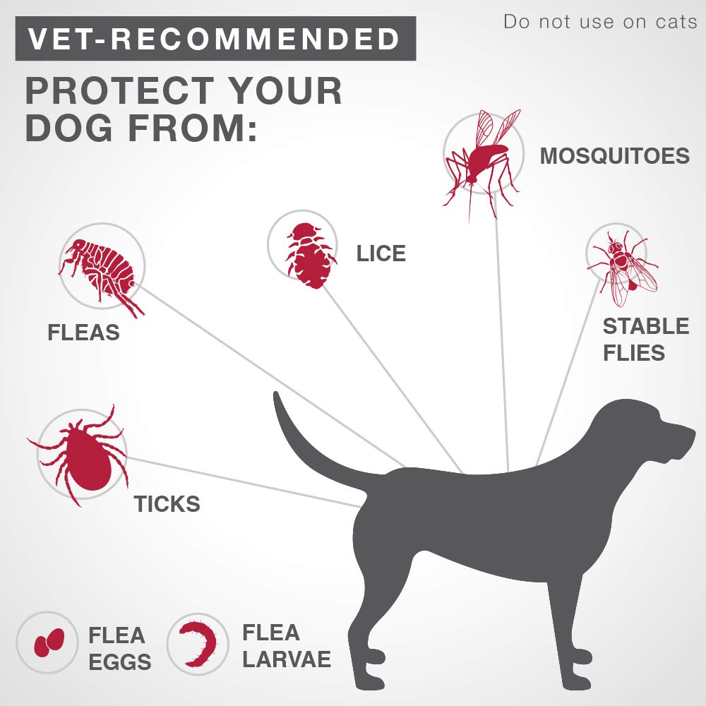 K9 Advantix II Flea and Tick Treatment for Small Dogs weighing less than 4.5 kg (less than 10 lbs.)-6 doses 🍁 All In One Marketplace Canada