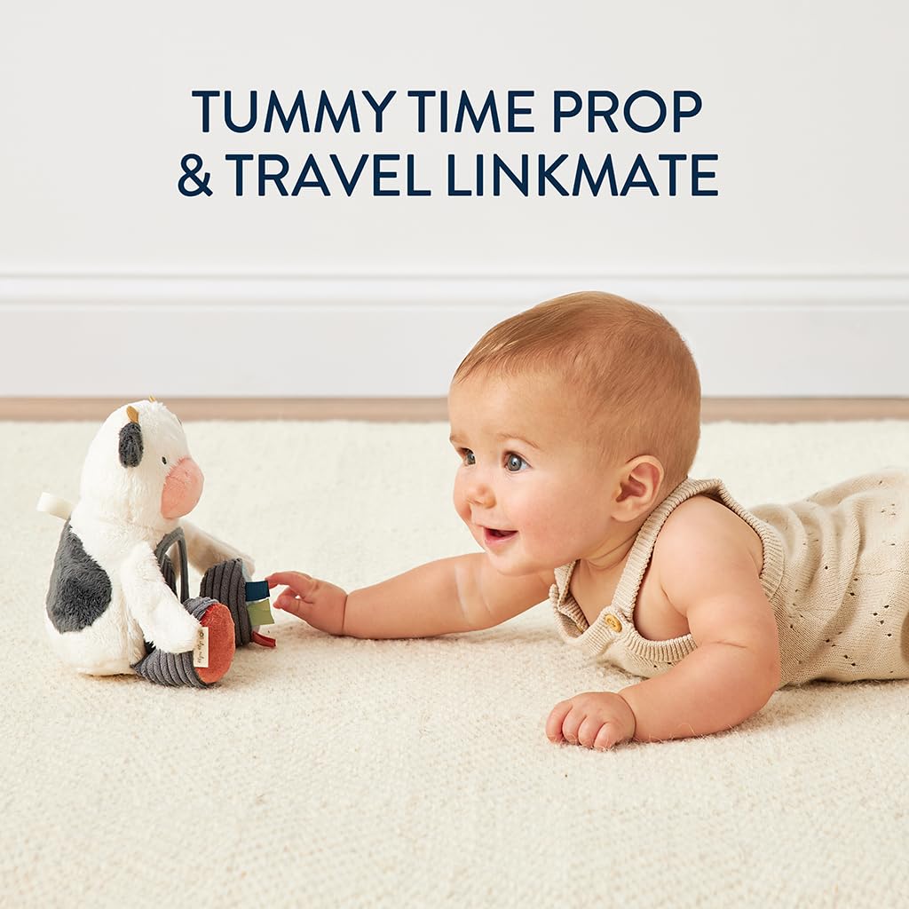 Itzy Ritzy Sensory Tummy Time Toy Mirror - Features Crinkle & Jingle Sounds, Multiple Textures and Mirror for Self-Discovery, Infant Toy For Ages 0 Months and Up, Cow Itzy Ritzy