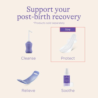 Lansinoh Postpartum Maxi Pads Bundle, 40 Count Lansinoh