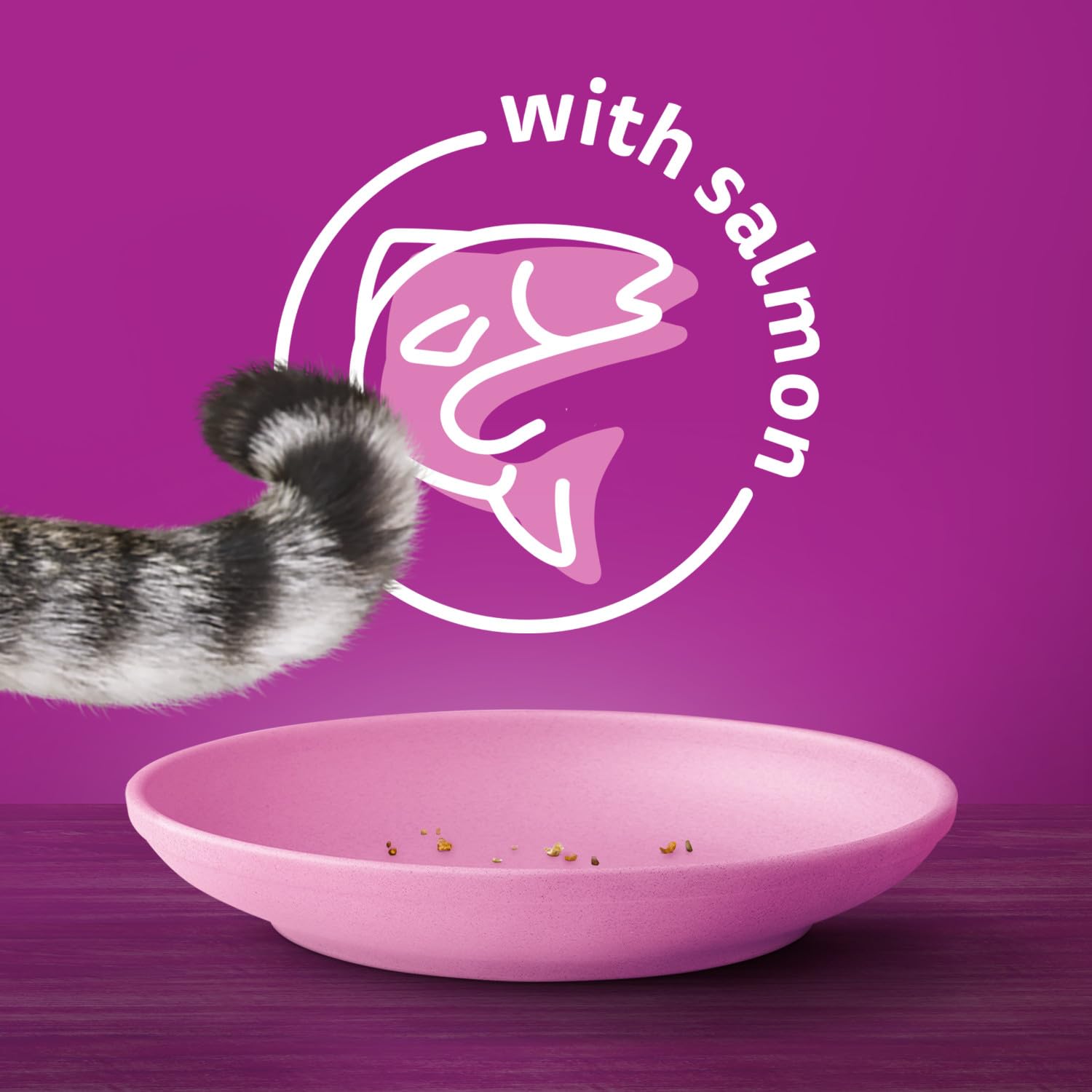 WHISKAS Seafood Selections Adult Dry Cat Food With Natural Salmon and Shrimp Flavour, Large 9.1kg Bag - Available at All In One Marketplace Canada