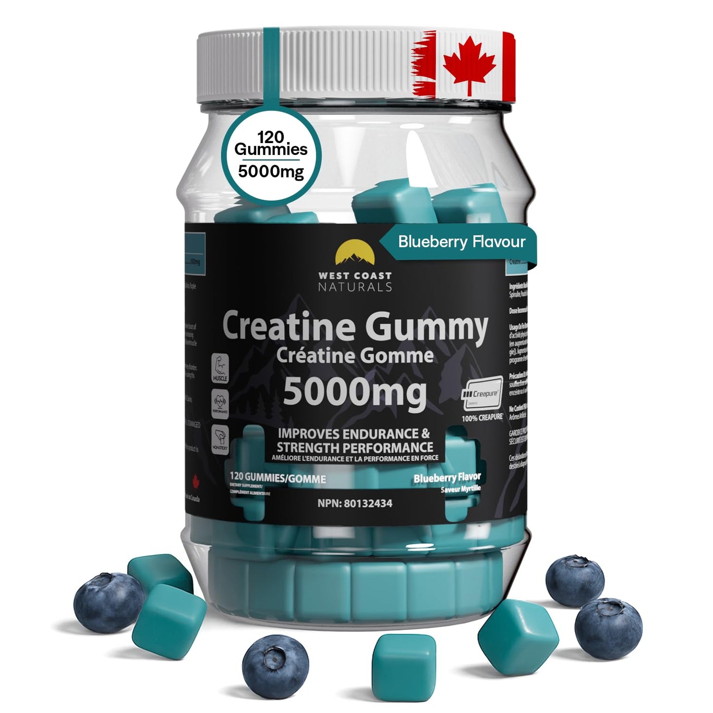 Creatine Monohydrate Gummies 5000 mg by West Coast Naturals – Blueberry Flavor, No Added Sugar, Chewable Supplement for Men and Women, Vegan – Kosher Certified – 120 Count WESTCOAST NATURALS