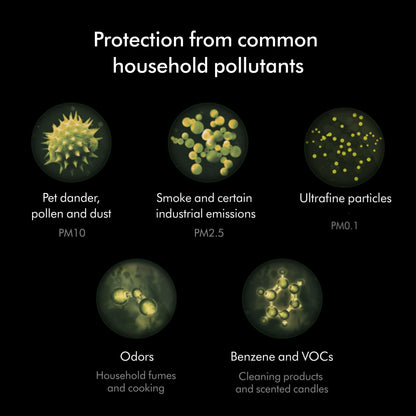 Dyson Combi 360° Glass HEPA and Activated Carbon Air Purifier Filter Dyson