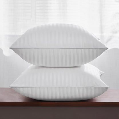 Oubonun 18 x 18 Throw Pillow Inserts Pack of 2 Oubonun