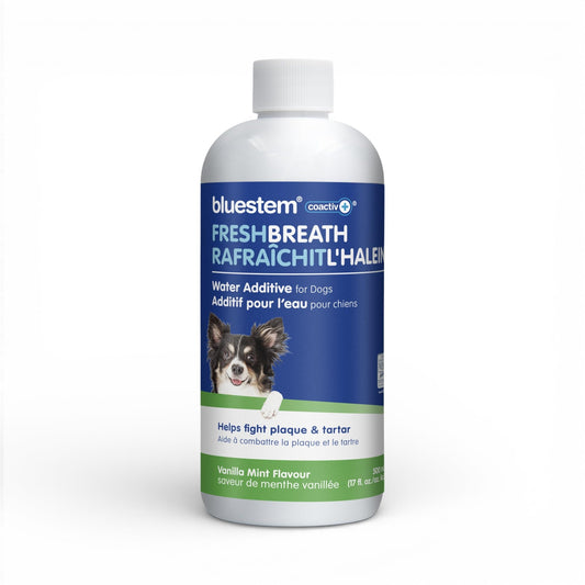 bluestem Dental Care Water Additive for Dogs – No Brushing Daily Teeth Cleaner – Pet Oral Rinse to Freshen Breath & Help Reduce Plaque – Flavorful & Easy Oral Hygiene (500 ml, Vanilla Mint)