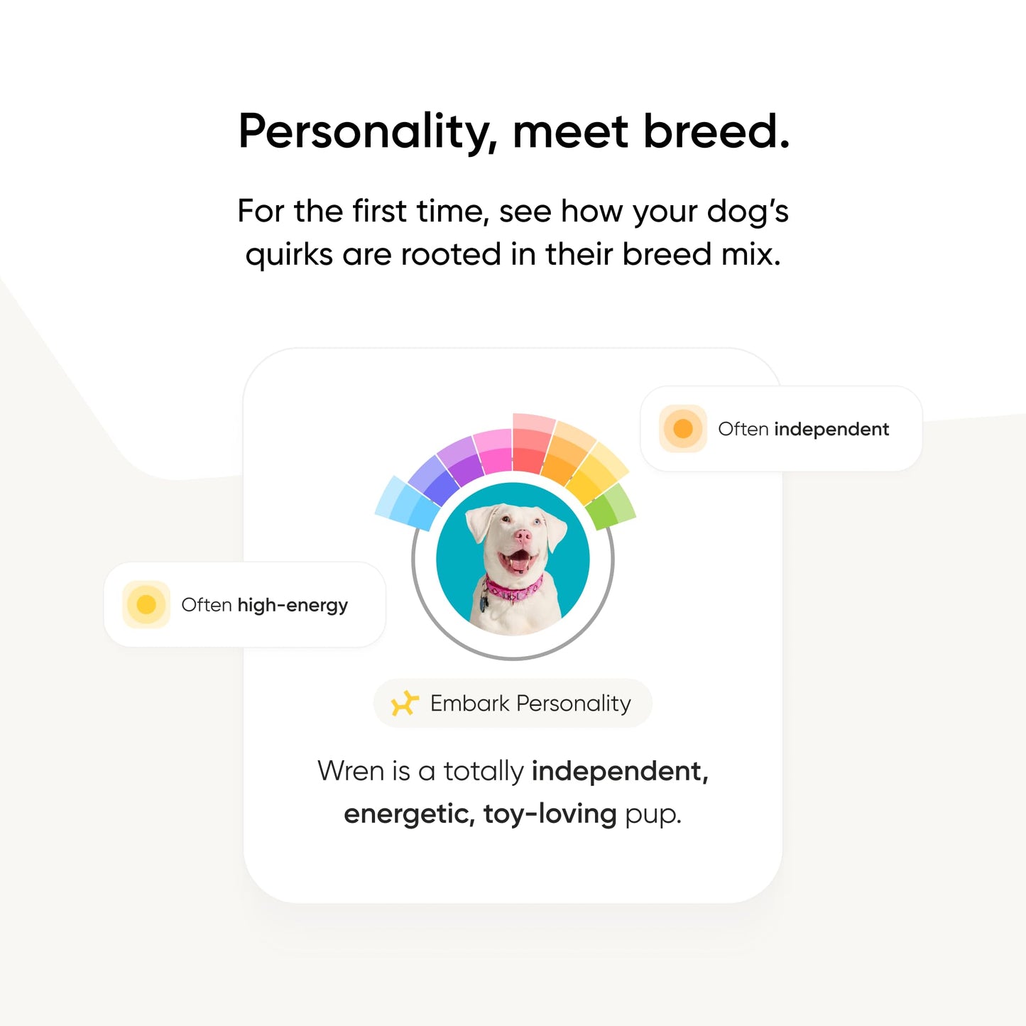 Embark Breed Identification Kit Most Accurate Dog DNA Test Test 350+ Dog Breeds Breed ID Kit with Ancestry & Family Tree - Available at All In One Marketplace Canada