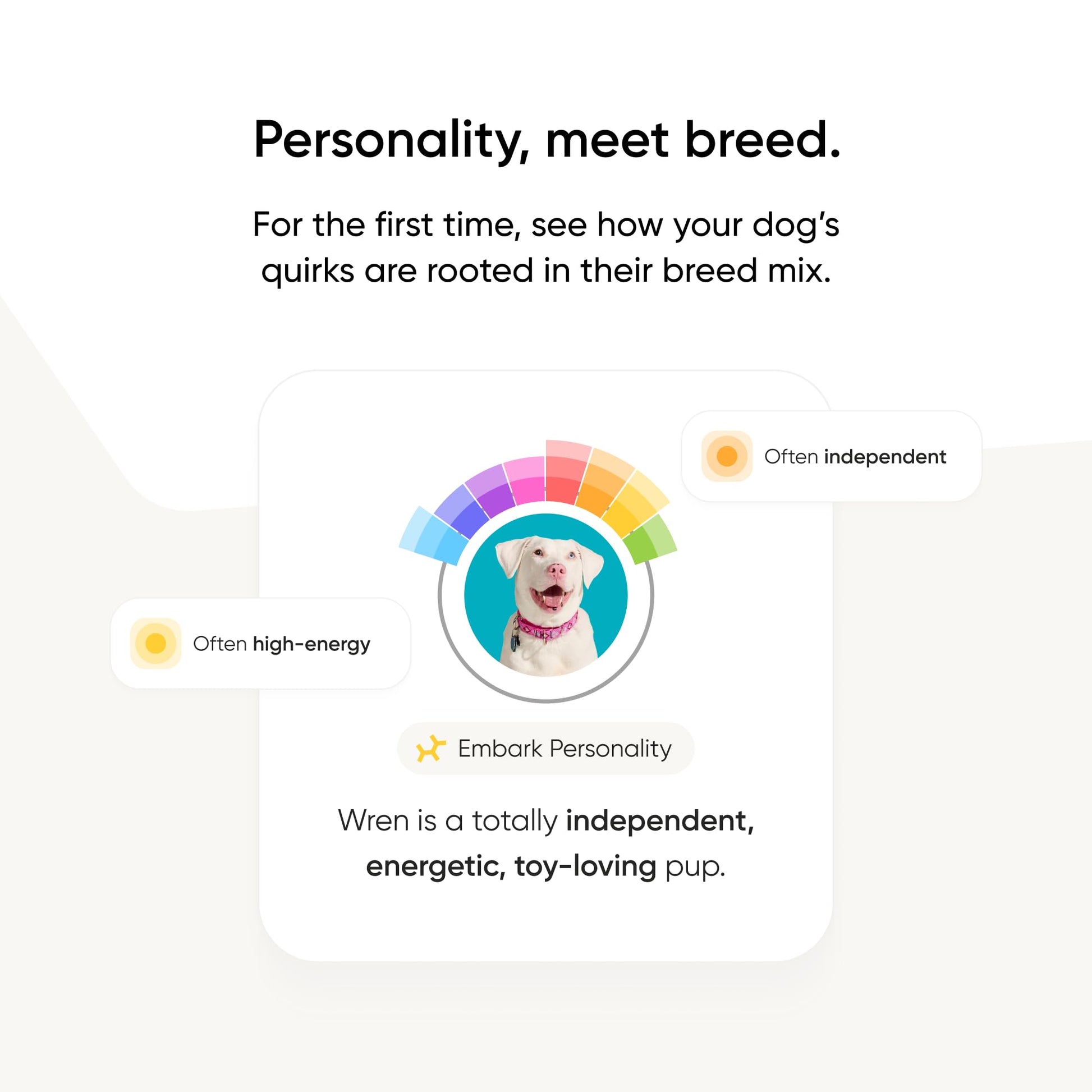 Embark Breed Identification Kit Most Accurate Dog DNA Test Test 350+ Dog Breeds Breed ID Kit with Ancestry & Family Tree - Available at All In One Marketplace Canada