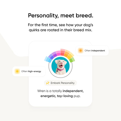 Embark Breed Identification Kit Most Accurate Dog DNA Test Test 350+ Dog Breeds Breed ID Kit with Ancestry & Family Tree - Available at All In One Marketplace Canada
