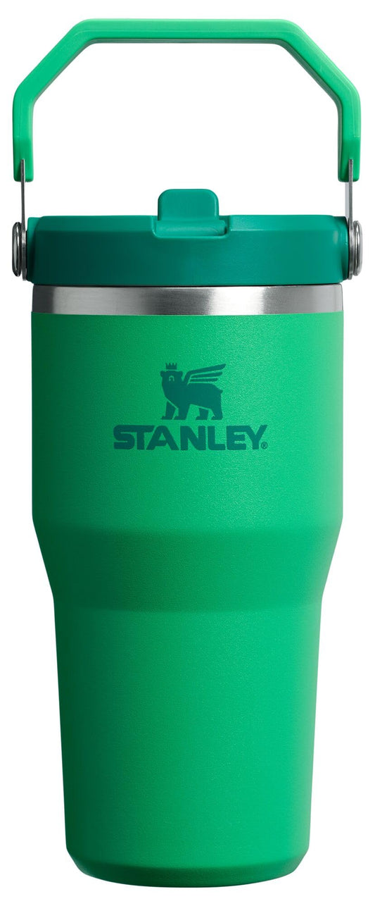 Stanley IceFlow 2.0 Flip Straw Tumbler with Handle 20 oz | Twist On Lid and Flip Up Straw | Leak Resistant Water Bottle | Insulated Stainless Steel | BPA-Free | Meadow 🍁 All In One Marketplace Canada