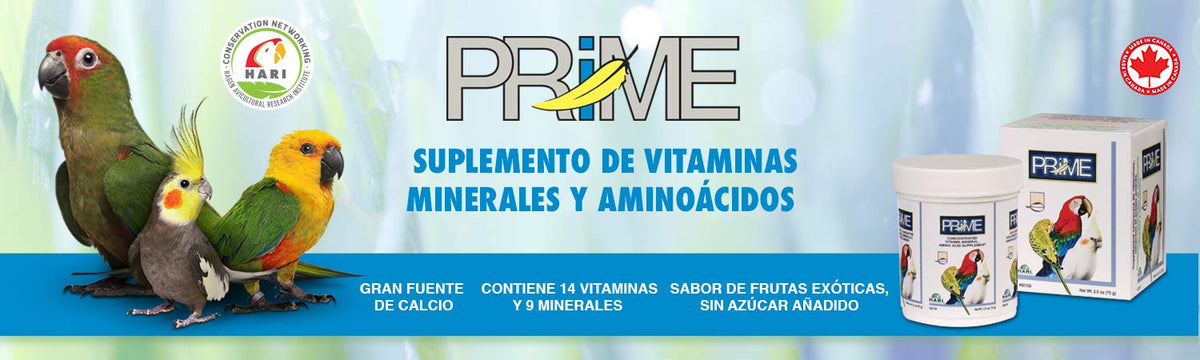 Hari Prime Vitamin Supplement for Birds - 30 g (1.1 oz)