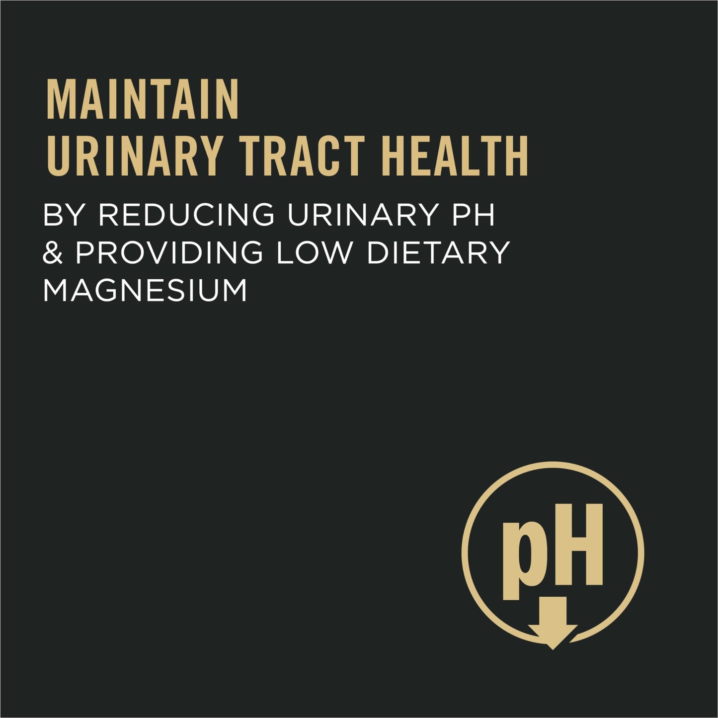 Pro Plan Dry Cat Food, Urinary Tract Health, Chicken & Rice 3.18kg 🍁 All In One Marketplace Canada