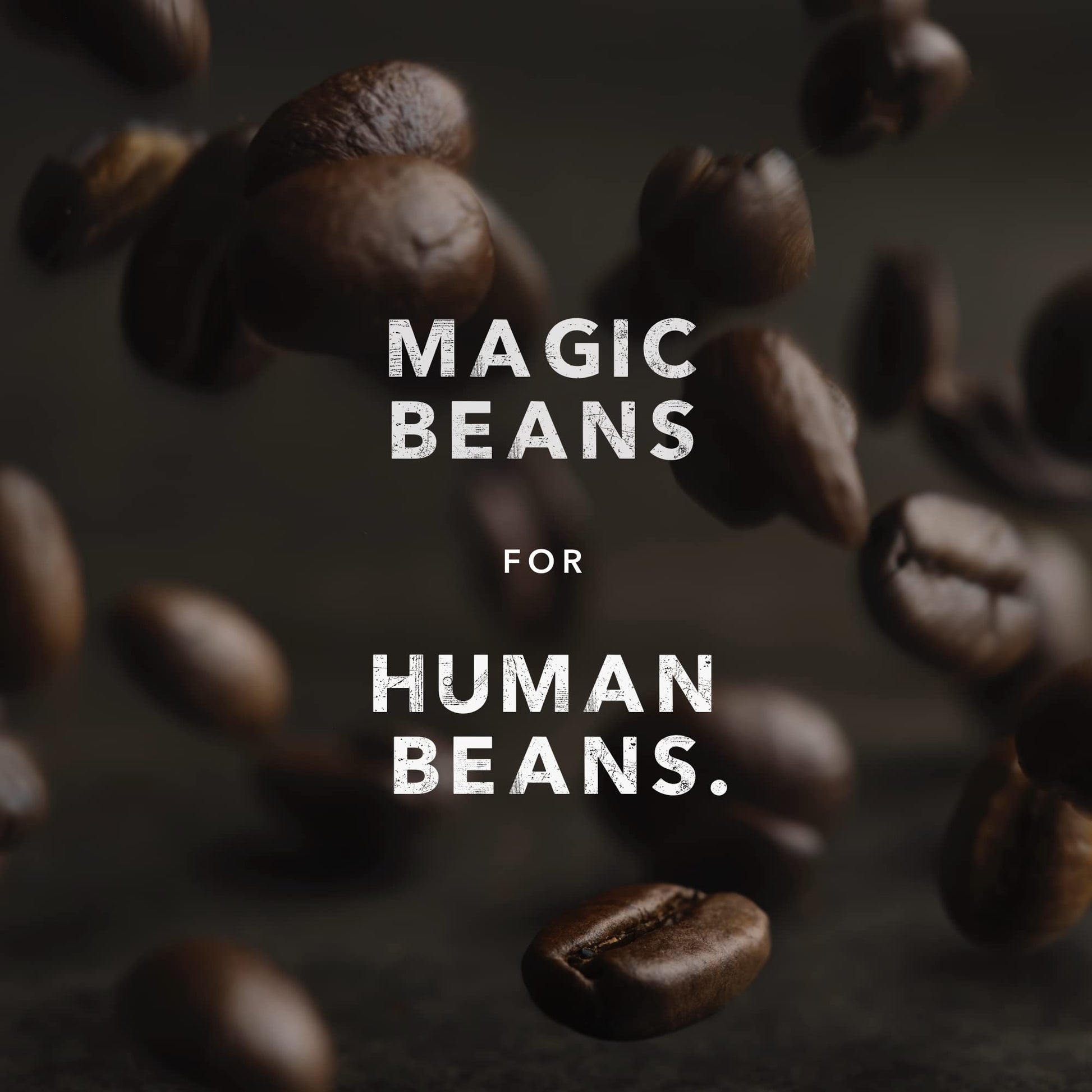 Kicking Horse Coffee Grizzly Claw Dark Roast Whole Bean – 1 lb (6-Pack) | Organic, Fairtrade, Kosher