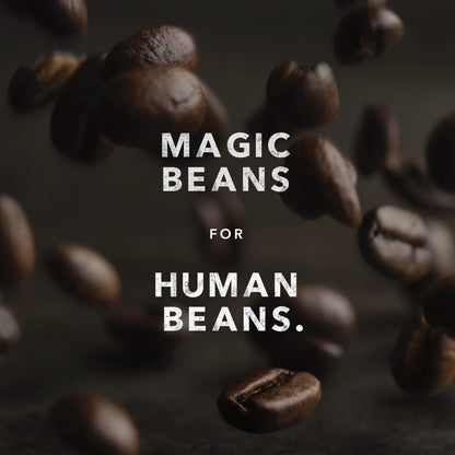 Kicking Horse Coffee Kick Ass Dark Roast Whole Bean – Organic, Fairtrade, Kosher – 1 lb (6-Pack)