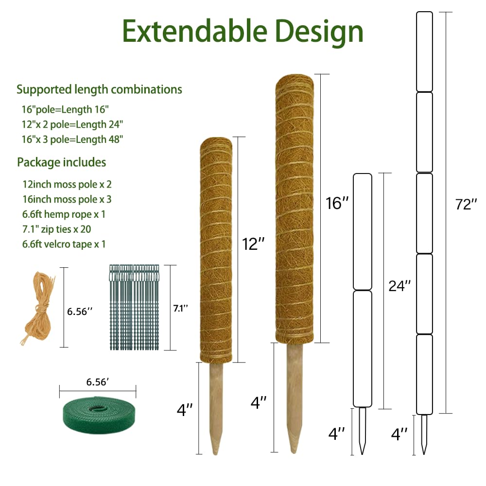 Moss Pole Plant Support Monstera - 5 Pack Coco Coir Moss Stick Plants Climber Support Indoor Monstera Stake for Climbing Plants Live House Potted, Vine, Pothos, Philodendron to Grow Upwards - Available at All In One Marketplace Canada