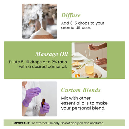 Handcraft Blends Peppermint Essential Oil - Huge 118 ml 🍁 All In One Marketplace Canada