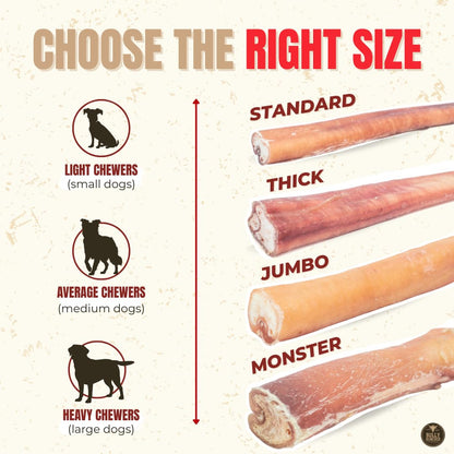 Bully Bunches Premium (6" Standard - 5 Pack) Odour-Free, Consistently Sized Bully Sticks for Small & Medium Dogs & Puppies, Long-Lasting Oral Care Chews, All-Natural Single-Ingredient Beef, No Rawhide