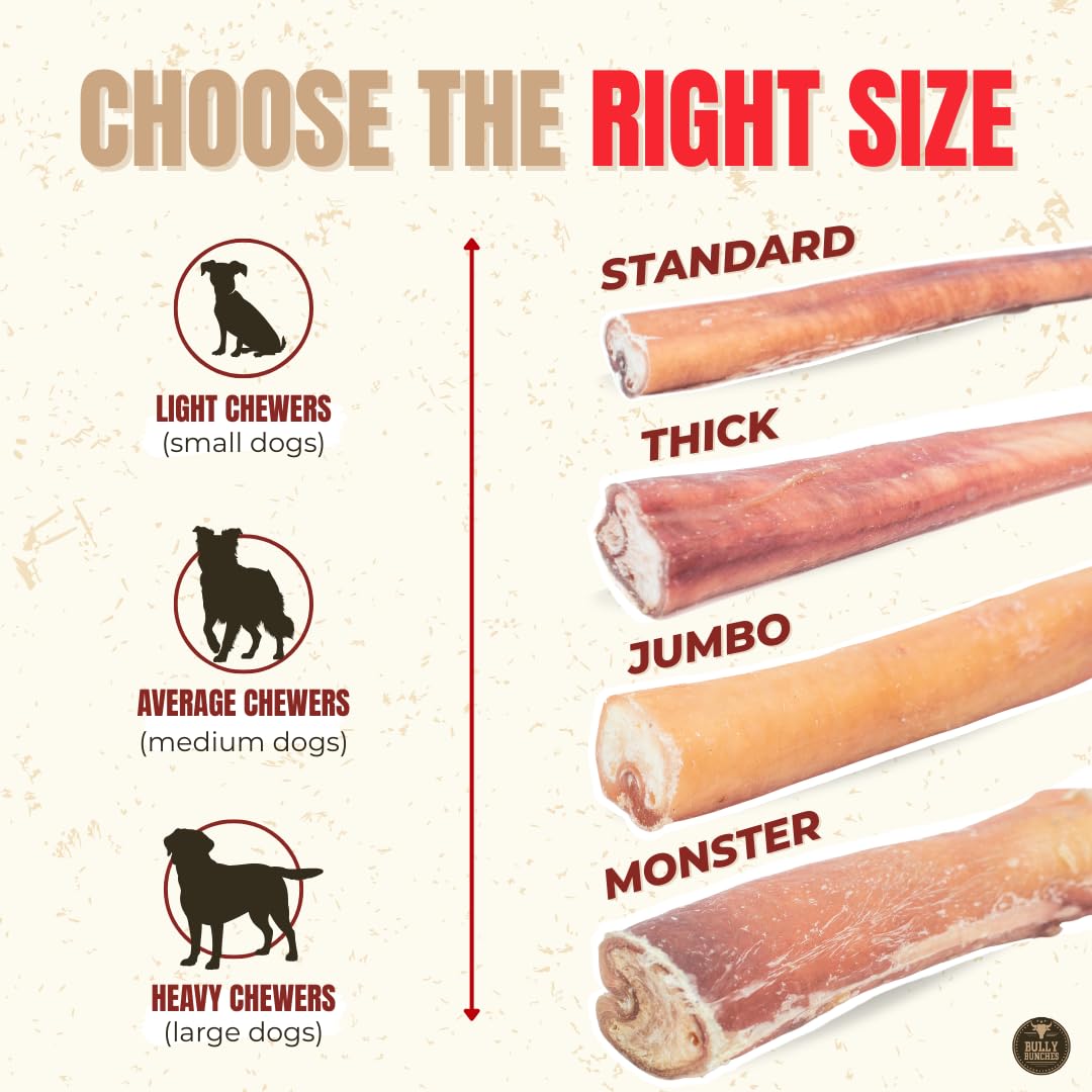Bully Bunches Premium (6" Standard - 20 Pack) Odour-Free, Consistently Sized Bully Sticks for Medium Dogs - Long Lasting Oral Care Chews - All Natural Fully Digestible Beef Treat, No Rawhide