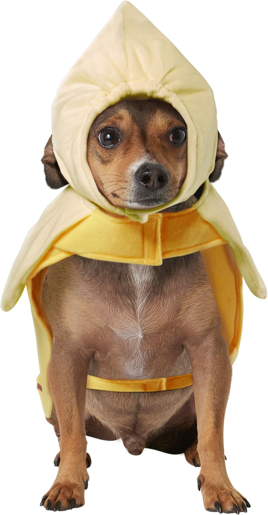 Rubies Costume Co Halloween Classics Collection Pet Costume, Medium, Banana